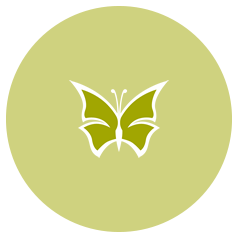 specialist-paediatricians-brisbane